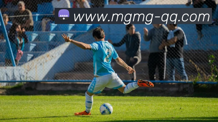 五大联赛的幕后英雄走进球场志愿者聆听他们与足球的温情故事